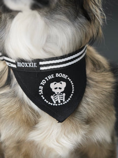 Medium Sad to the Bone adjustable pet bandana – a perfect fit for medium-sized dogs, offering a spooky and emo vibe.