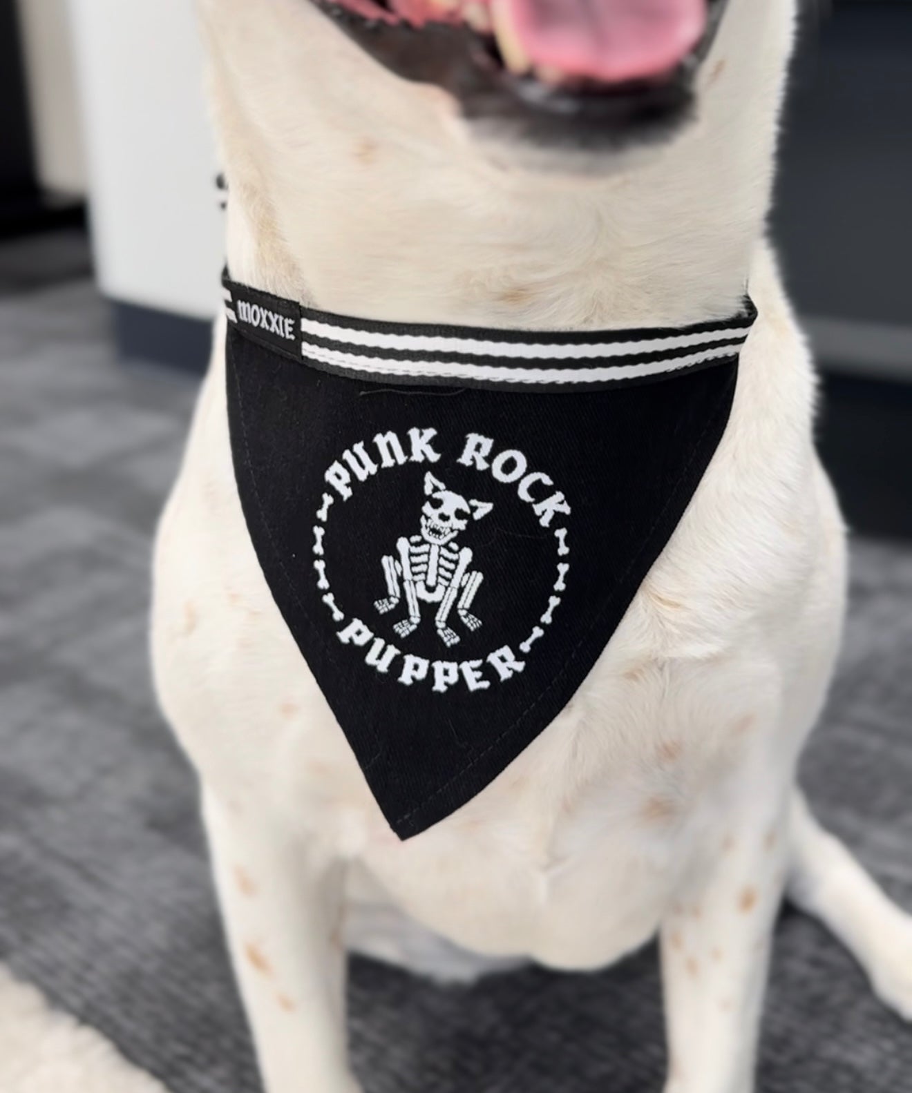 Let your pup rock out with the 'Punk Rock Pupper' adjustable pet bandana – the perfect accessory for your rebellious furry friend!