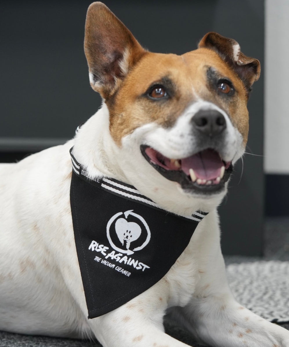 Give your pet a rebellious look with the 'Rise Against the Vacuum Cleaner' adjustable bandana – perfect for furry fighters and vacuum haters!