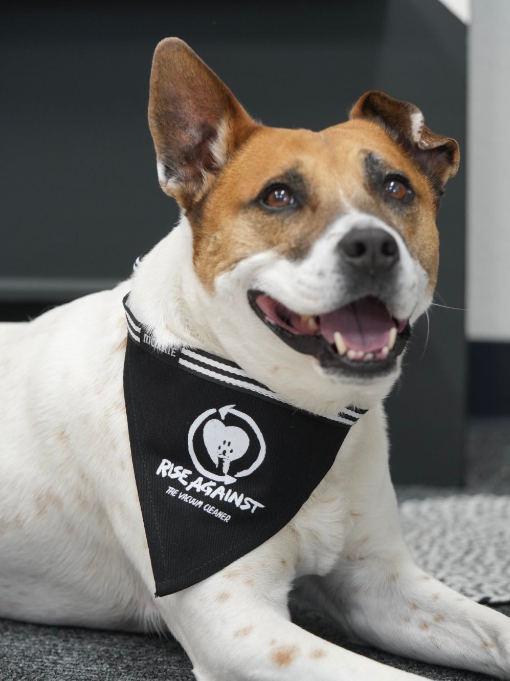 Give your pet a rebellious look with the 'Rise Against the Vacuum Cleaner' adjustable bandana – perfect for furry fighters and vacuum haters!