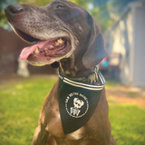 Large dog wearing the large Sad to the Bone adjustable pet bandana – a spooky skeleton design perfect for your emo pup