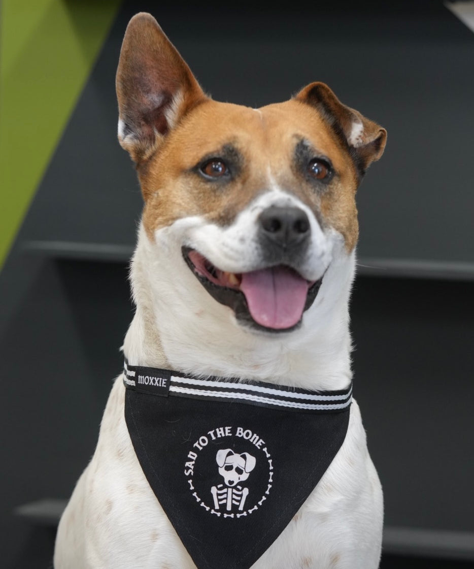 Large Sad to the Bone dog bandana – ideal for larger dogs, custom-made with a skeleton design for a spooky, emo flair.