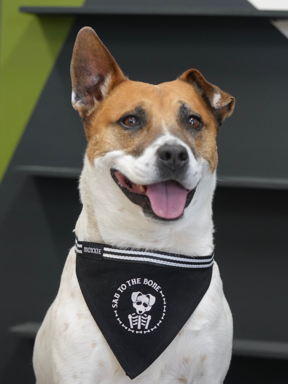 Large Sad to the Bone dog bandana – ideal for larger dogs, custom-made with a skeleton design for a spooky, emo flair.