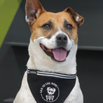 Large Sad to the Bone dog bandana – ideal for larger dogs, custom-made with a skeleton design for a spooky, emo flair.