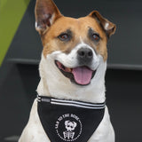 Large Sad to the Bone dog bandana – ideal for larger dogs, custom-made with a skeleton design for a spooky, emo flair.