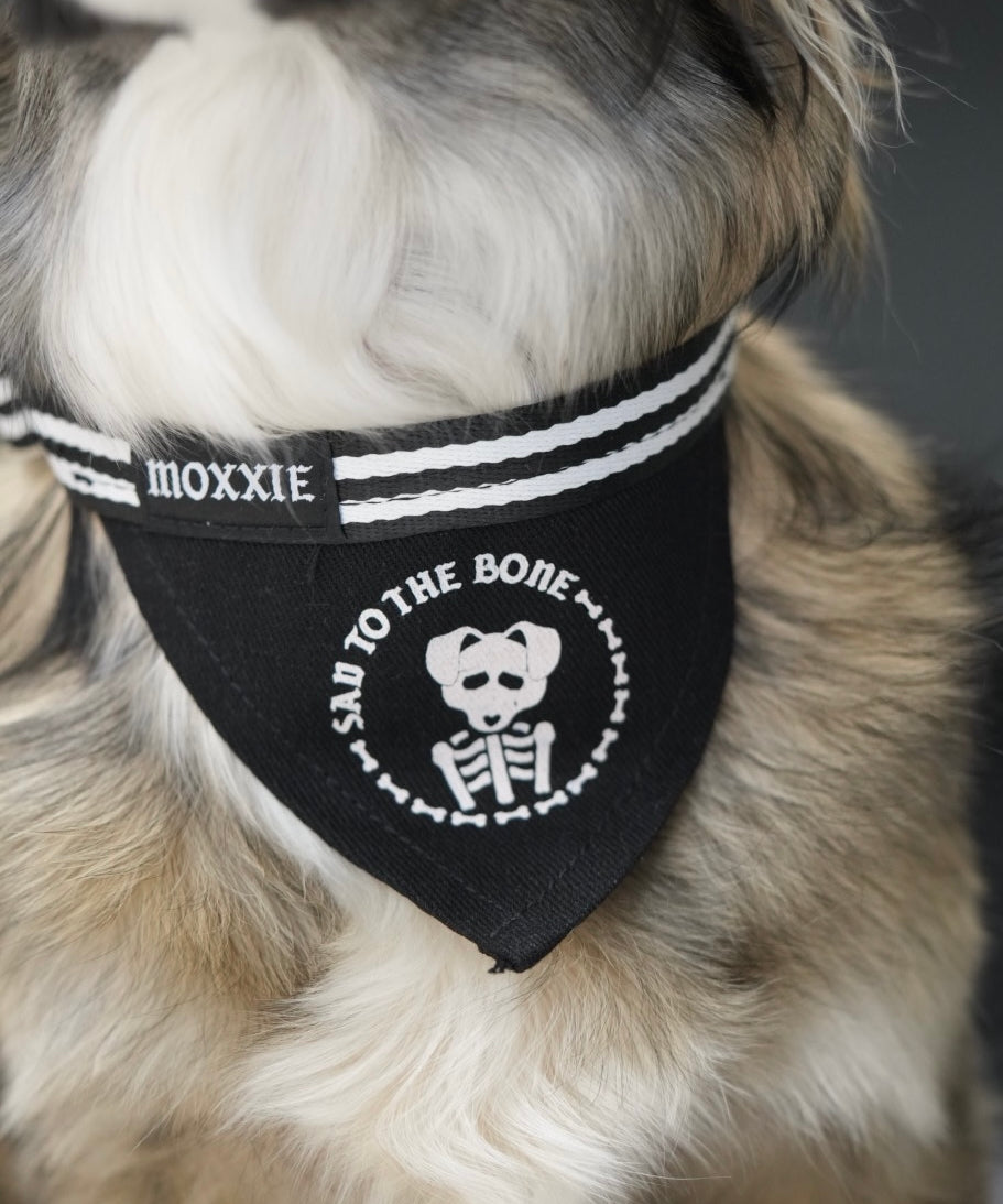 Medium Sad to the Bone adjustable pet bandana – a perfect fit for medium-sized dogs, offering a spooky and emo vibe.