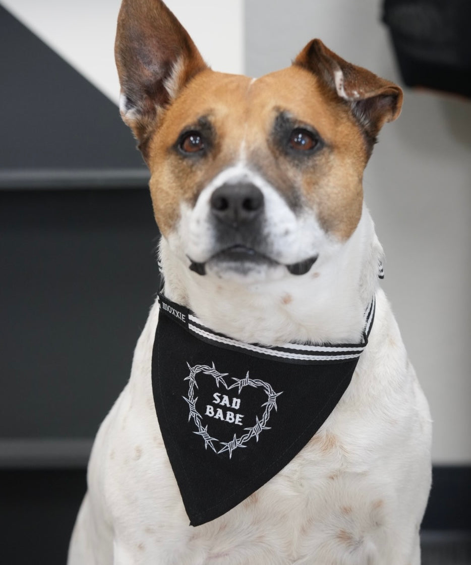 Add a touch of emo style to your pet’s look with the 'Sad Babe' adjustable pet bandana – perfect for your furry friend's sad vibes.