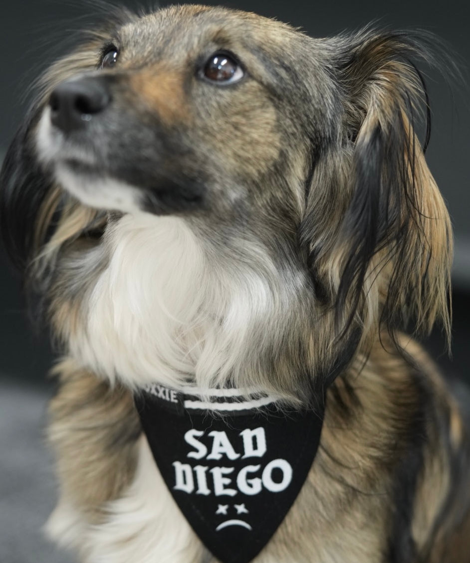 Medium Sad Diego adjustable pet bandana – perfect for medium-sized dogs with a touch of emo style and sad vibes.