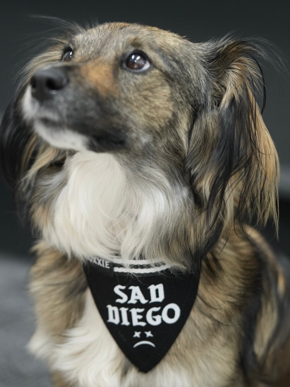 Medium Sad Diego adjustable pet bandana – perfect for medium-sized dogs with a touch of emo style and sad vibes.