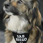 Medium Sad Diego adjustable pet bandana – perfect for medium-sized dogs with a touch of emo style and sad vibes.