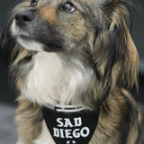 Medium Sad Diego adjustable pet bandana – perfect for medium-sized dogs with a touch of emo style and sad vibes.