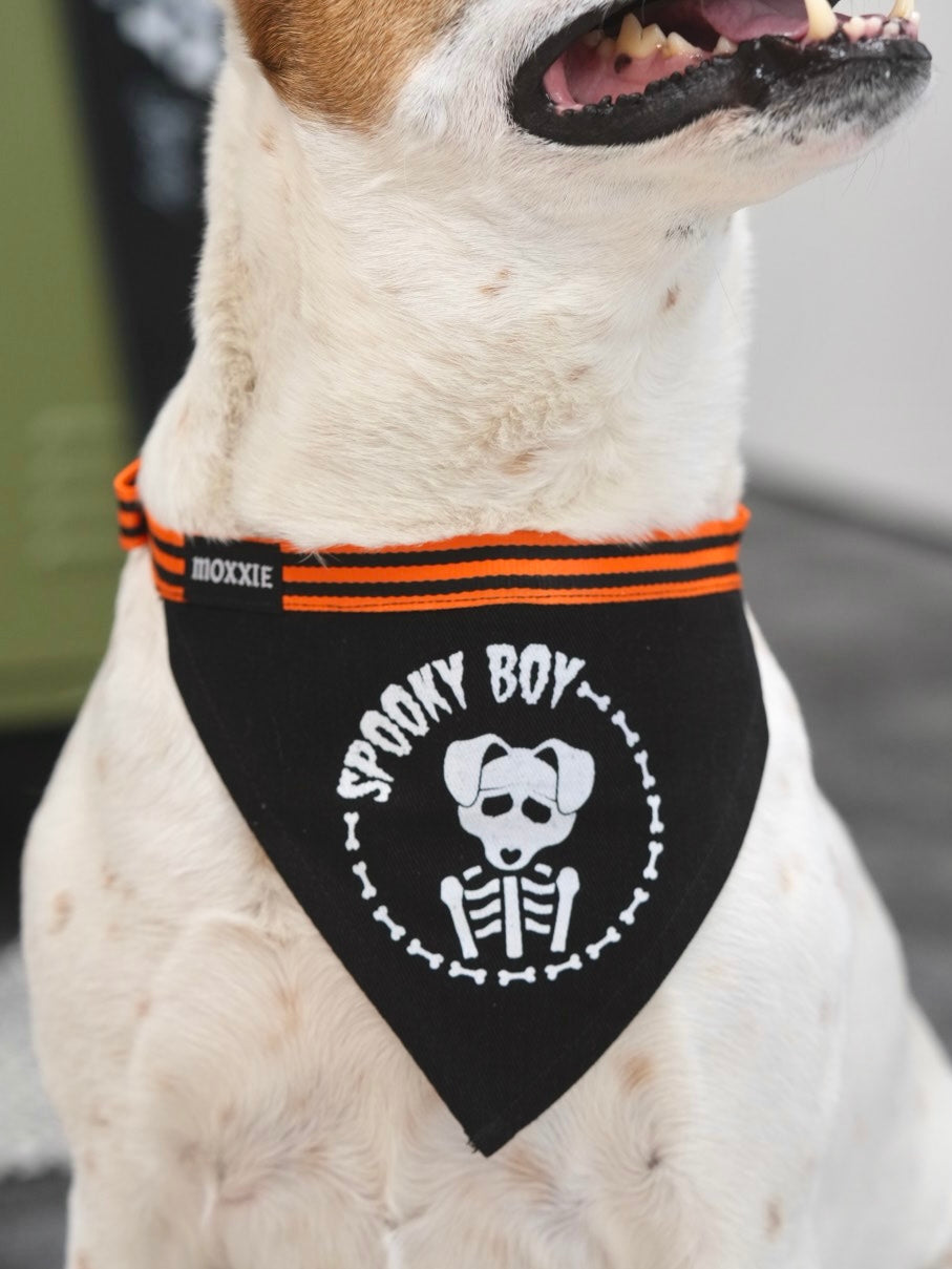 Large Spooky Boy dog bandana – designed for larger dogs, offering a fun and spooky Halloween look with a custom-made design.