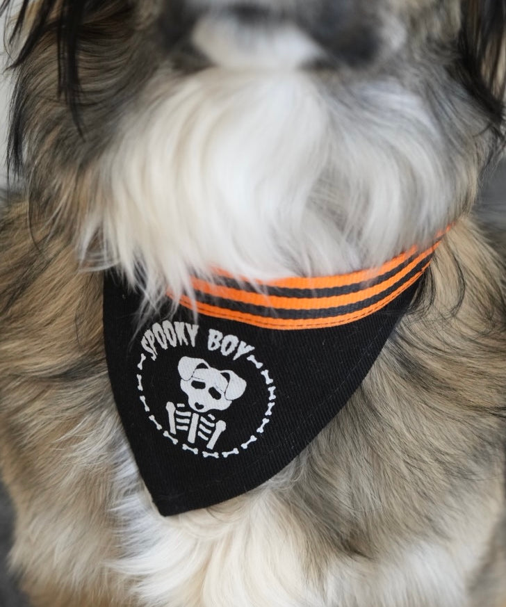 Medium Spooky Boy adjustable pet bandana – a custom-made Halloween accessory for medium-sized dogs with a spooky vibe.