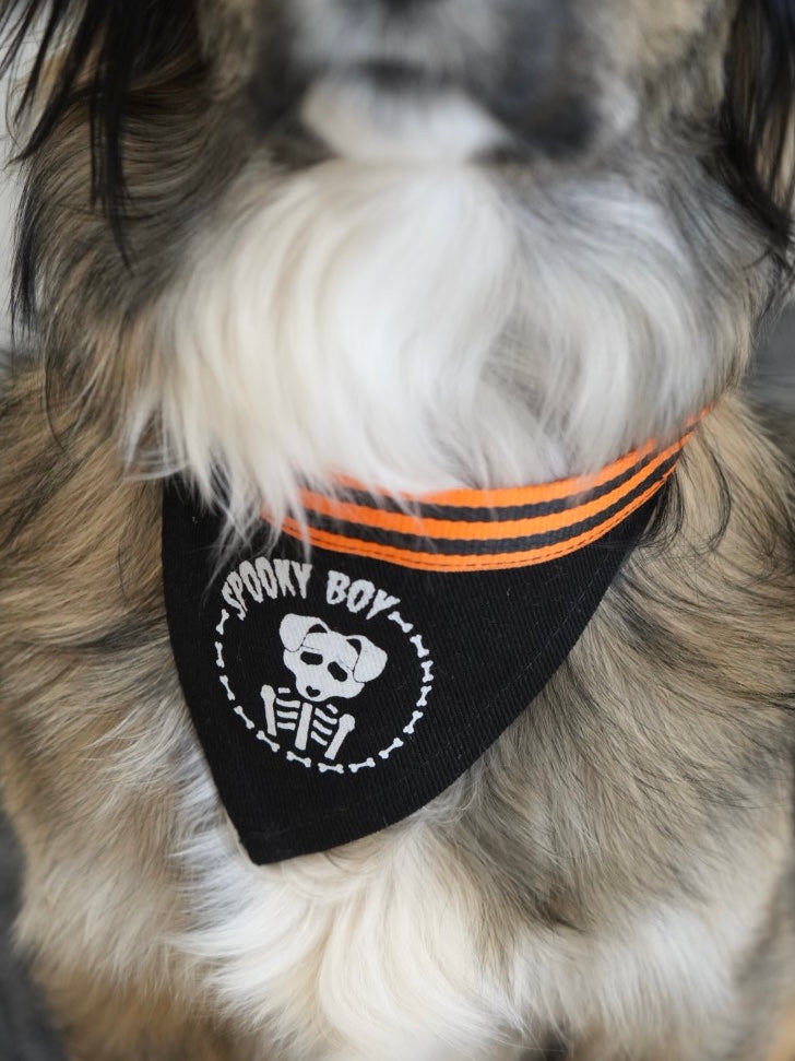 Medium Spooky Boy adjustable pet bandana – a custom-made Halloween accessory for medium-sized dogs with a spooky vibe.