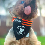 Small Spooky Boy pet bandana – perfect for small dogs, featuring a spooky design to celebrate Halloween in style.
