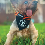 Spooky Boy adjustable pet bandana – custom made for your dog, perfect for Halloween and supporting small businesses.