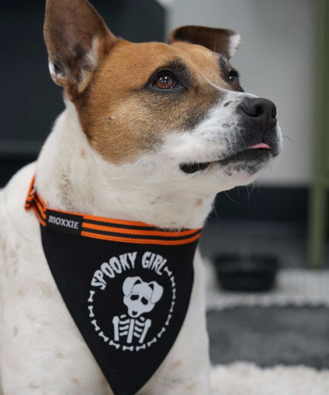 Large Spooky Girl dog bandana – ideal for larger dogs, custom-made for a spooky and stylish Halloween look.