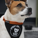 Large Spooky Girl dog bandana – ideal for larger dogs, custom-made for a spooky and stylish Halloween look.