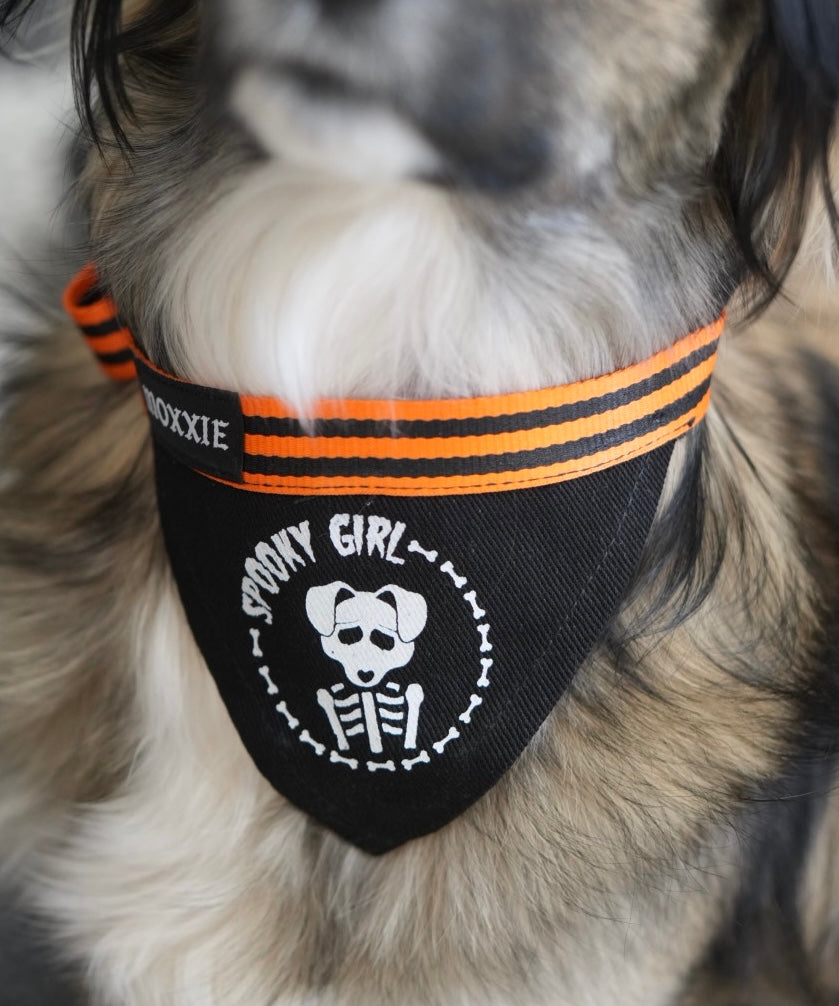 Medium Spooky Girl adjustable pet bandana – perfect for medium-sized dogs, adding a spooky Halloween touch to their outfit.
