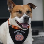 Medium adjustable pet bandana – a spooky, custom-made accessory for medium-sized dogs to celebrate Halloween in style.