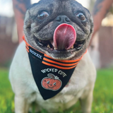 Large adjustable pet bandana – designed for larger dogs, offering a wicked cute Halloween look with a pumpkin pattern.