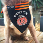 Small adjustable pet bandana – perfect for small dogs, featuring a wicked cute pumpkin design for Halloween.