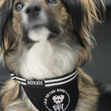 Sad to the Bone adjustable pet bandana – custom-made with a spooky skeleton design, perfect for your emo dog's apparel.