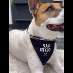 Close-up of a dog wearing the large-sized 'Sad Diego' adjustable pet bandana – the perfect accessory for your emo-inspired pup!