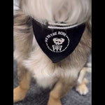Close-up of a medium dog wearing the medium Sad to the Bone adjustable pet bandana – a spooky skeleton design perfect for your emo-inspired pet.
