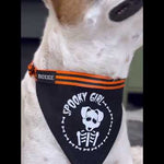 Close-up of a large dog wearing the large Spooky Girl adjustable pet bandana – the perfect spooky accessory for Halloween!