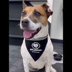 Close-up of a dog wearing the 'Rise Against the Vacuum Cleaner' adjustable pet bandana – the perfect accessory for your furry rebel!