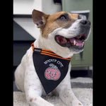 Close-up of a medium-sized dog wearing the Wicked Cute adjustable pet bandana – perfect for Halloween with a spooky pumpkin design.