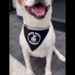 Close-up of a dog rocking the 'Punk Rock Pupper' adjustable pet bandana – the ultimate accessory for your little rebel!